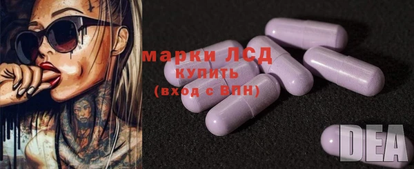 МДПВ Снежногорск