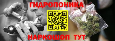 спиды Бийск