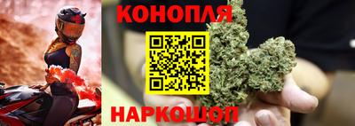 спиды Бийск