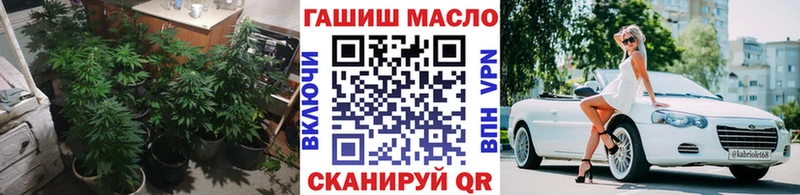 купить   Белорецк  Дистиллят ТГК гашишное масло 