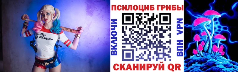 Галлюциногенные грибы мухоморы  darknet состав  Белорецк  гидра сайт 